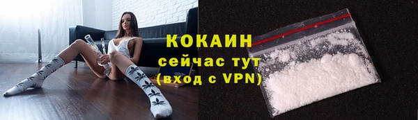 прущие грибы Армянск