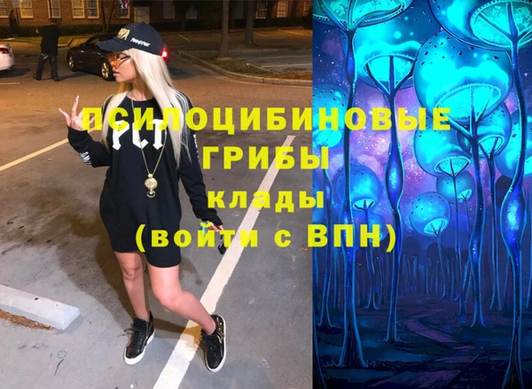 прущие грибы Армянск