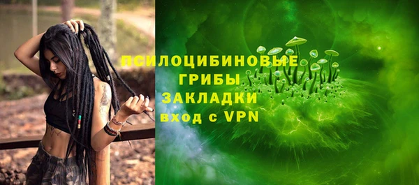 стафф Ростов