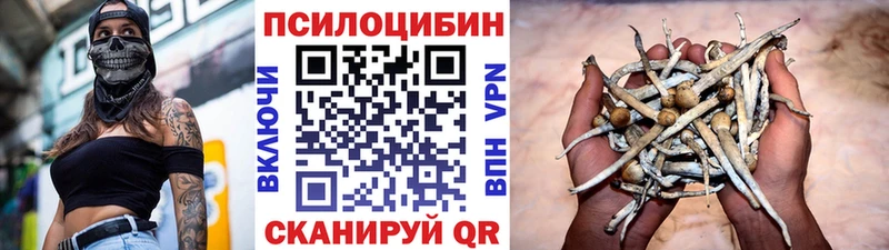 МЕГА вход  Буйнакск  Псилоцибиновые грибы прущие грибы 